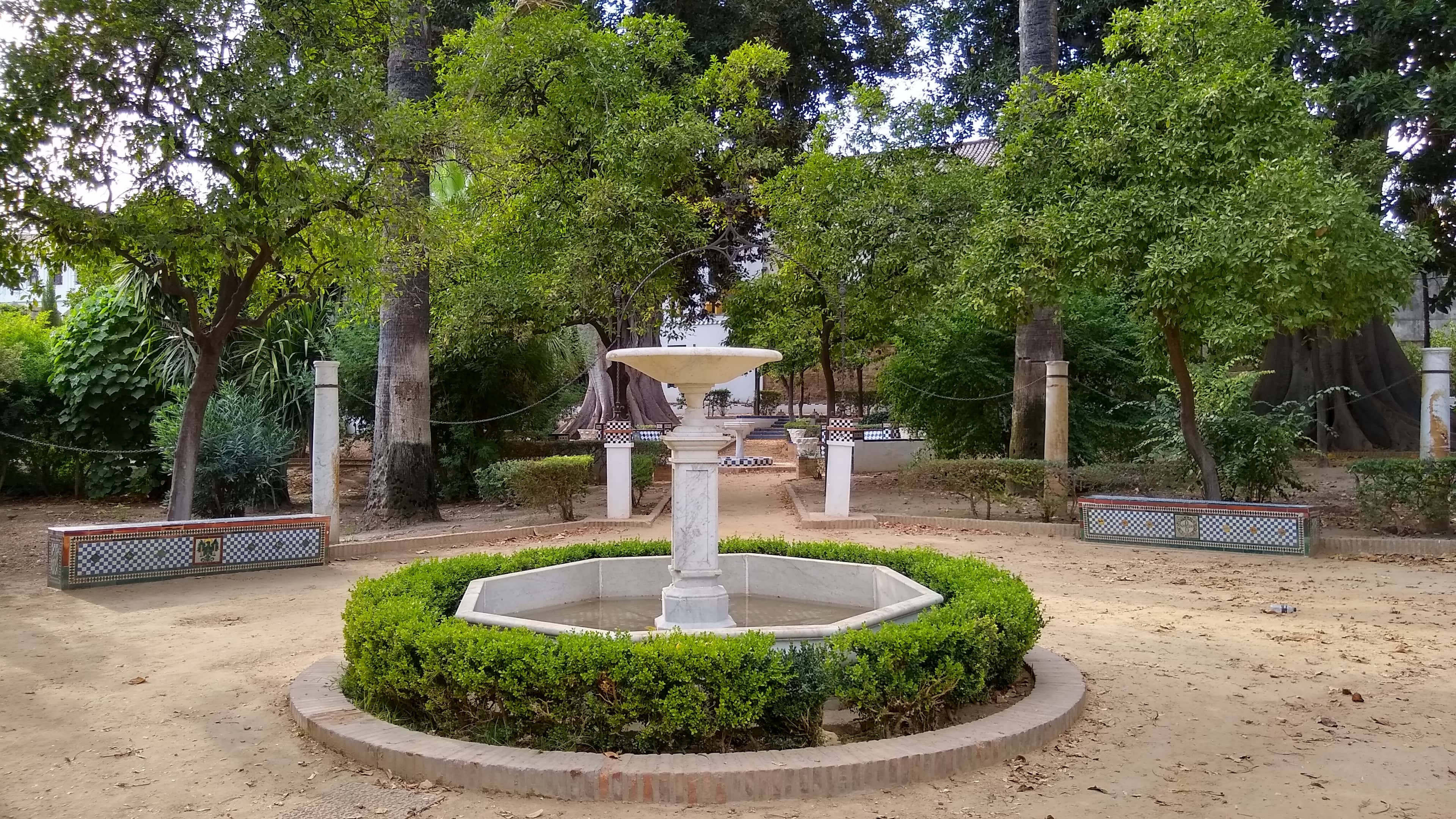 Diverse Plant Collections