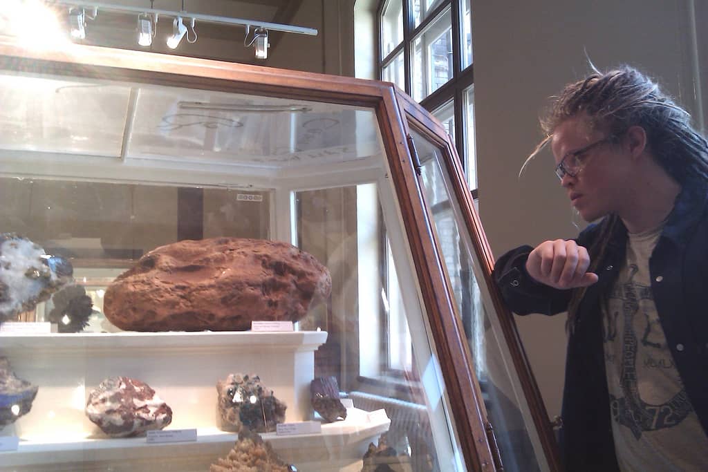 Largest Amber Chunk