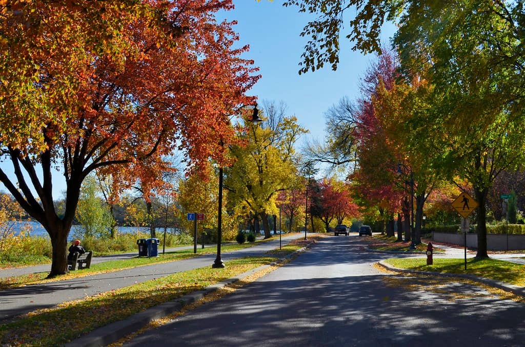 Autumn Colors & Photography