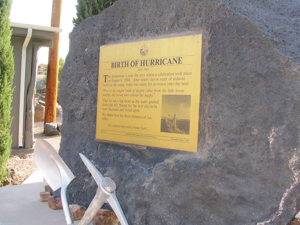 Summer Concert Series