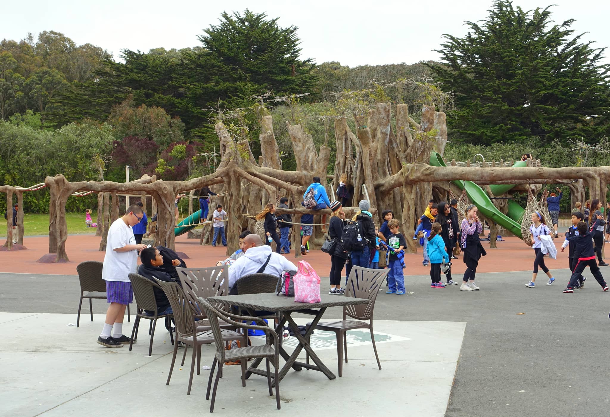 Children's Zoo & Playground