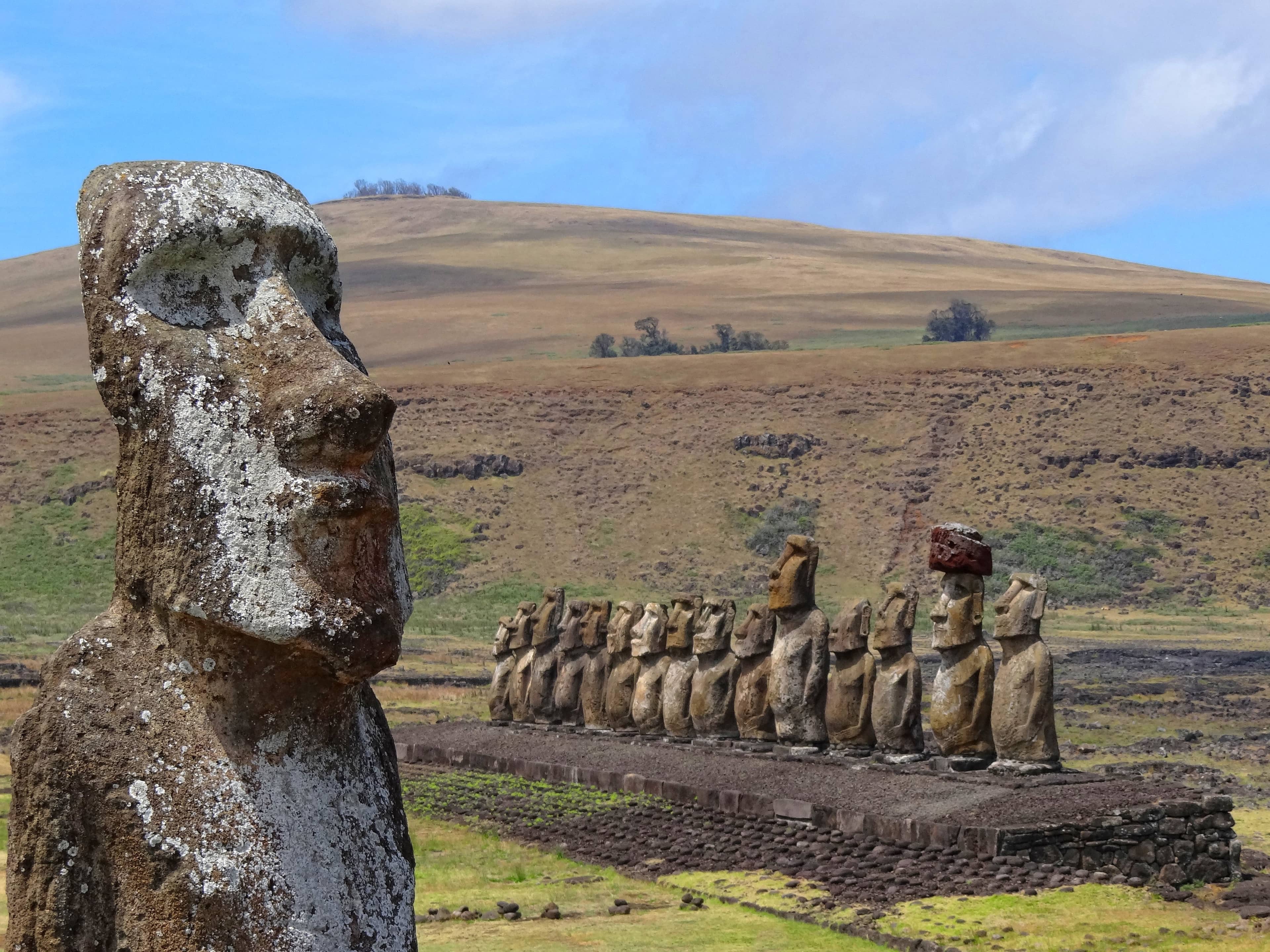 The Traveling Moai