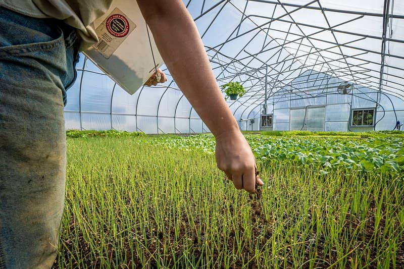 Garden Center Treasures