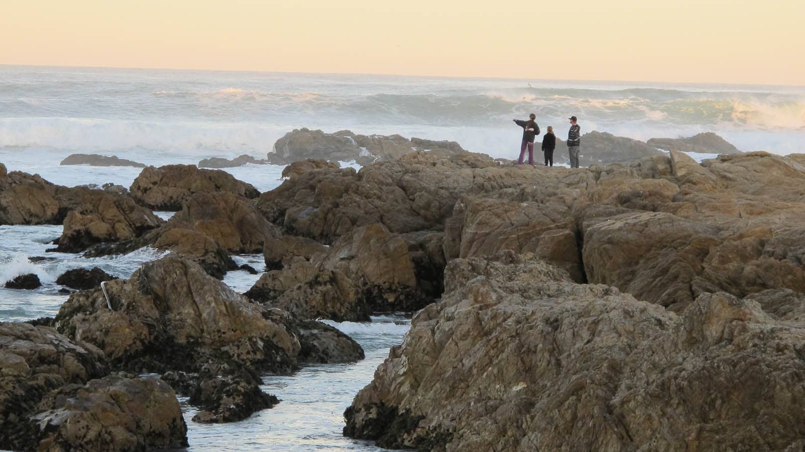 Tide Pools