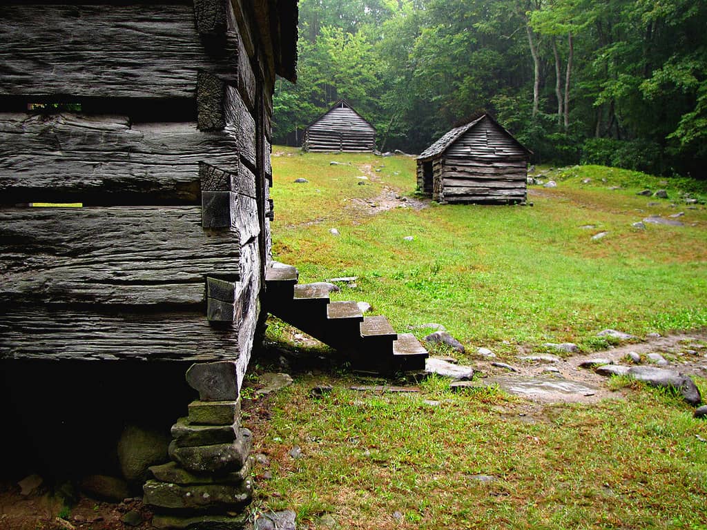Historic Cabins