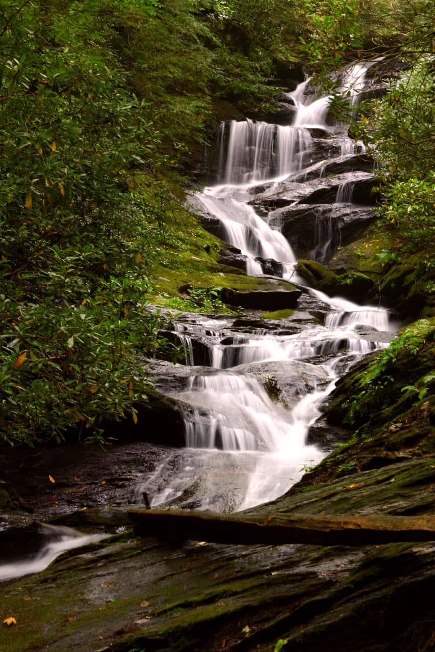 Roaring Fork Stream