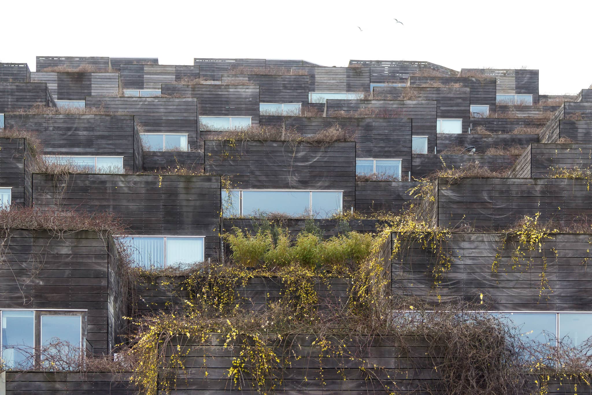 Integration with Nature