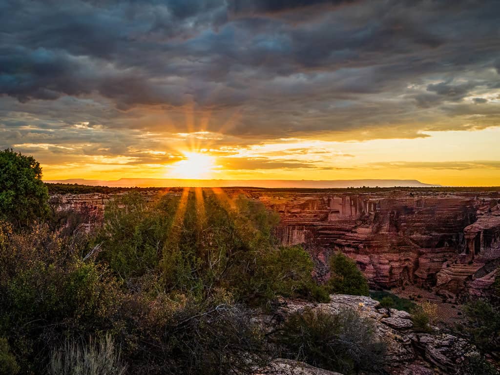 Sunset Views