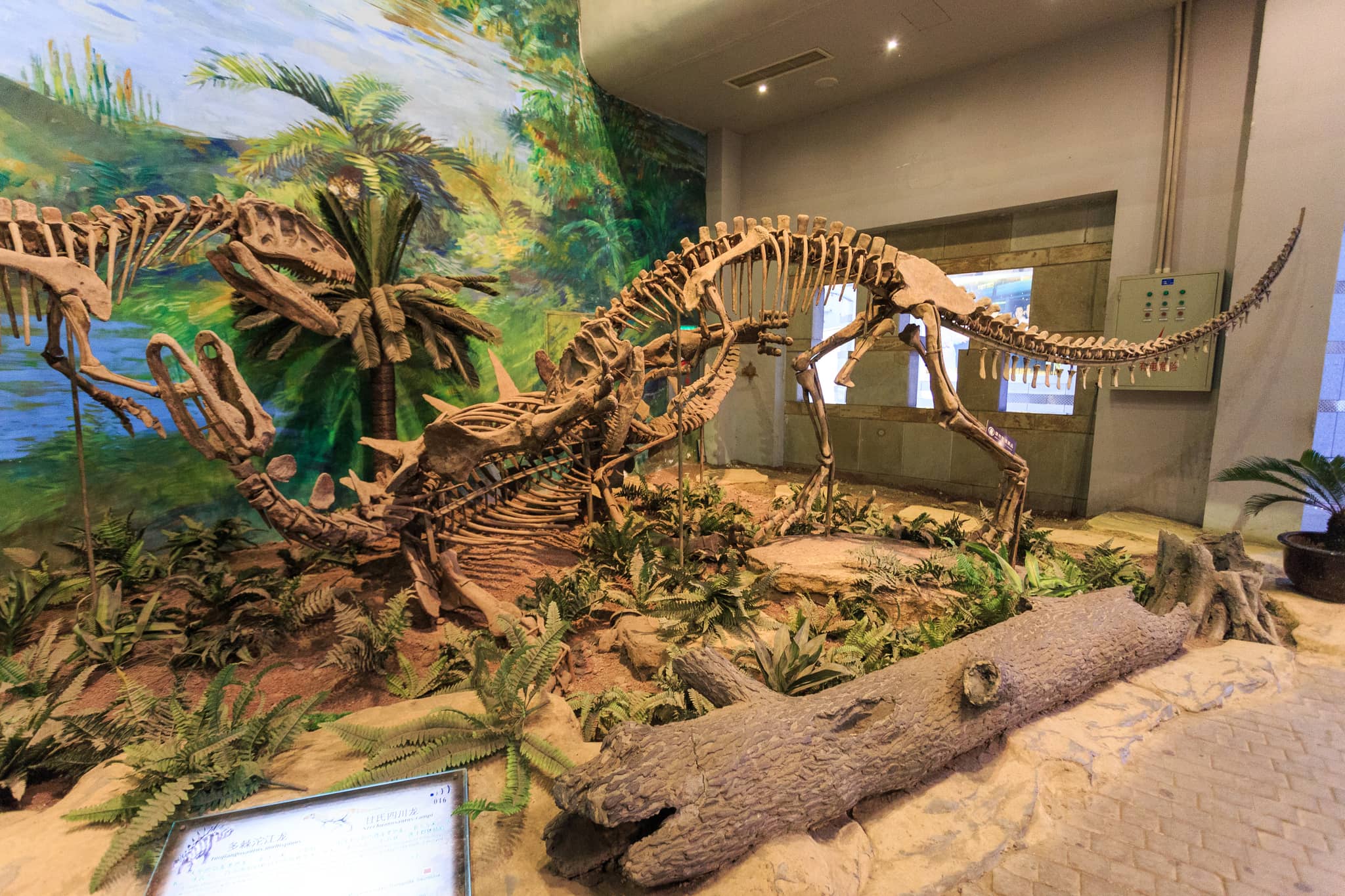 Dinosaur Exhibits