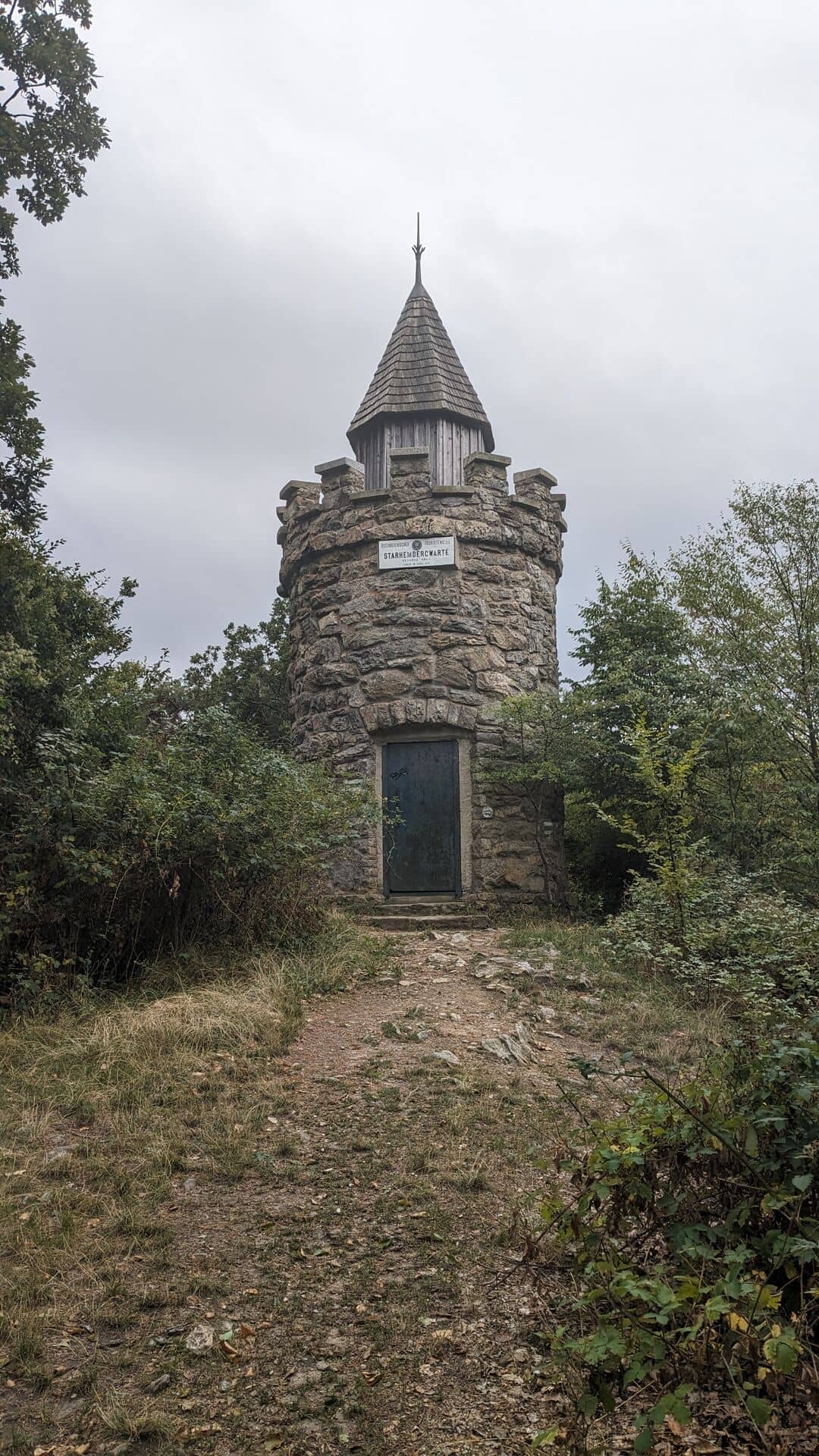 Mountain Goat Encounter