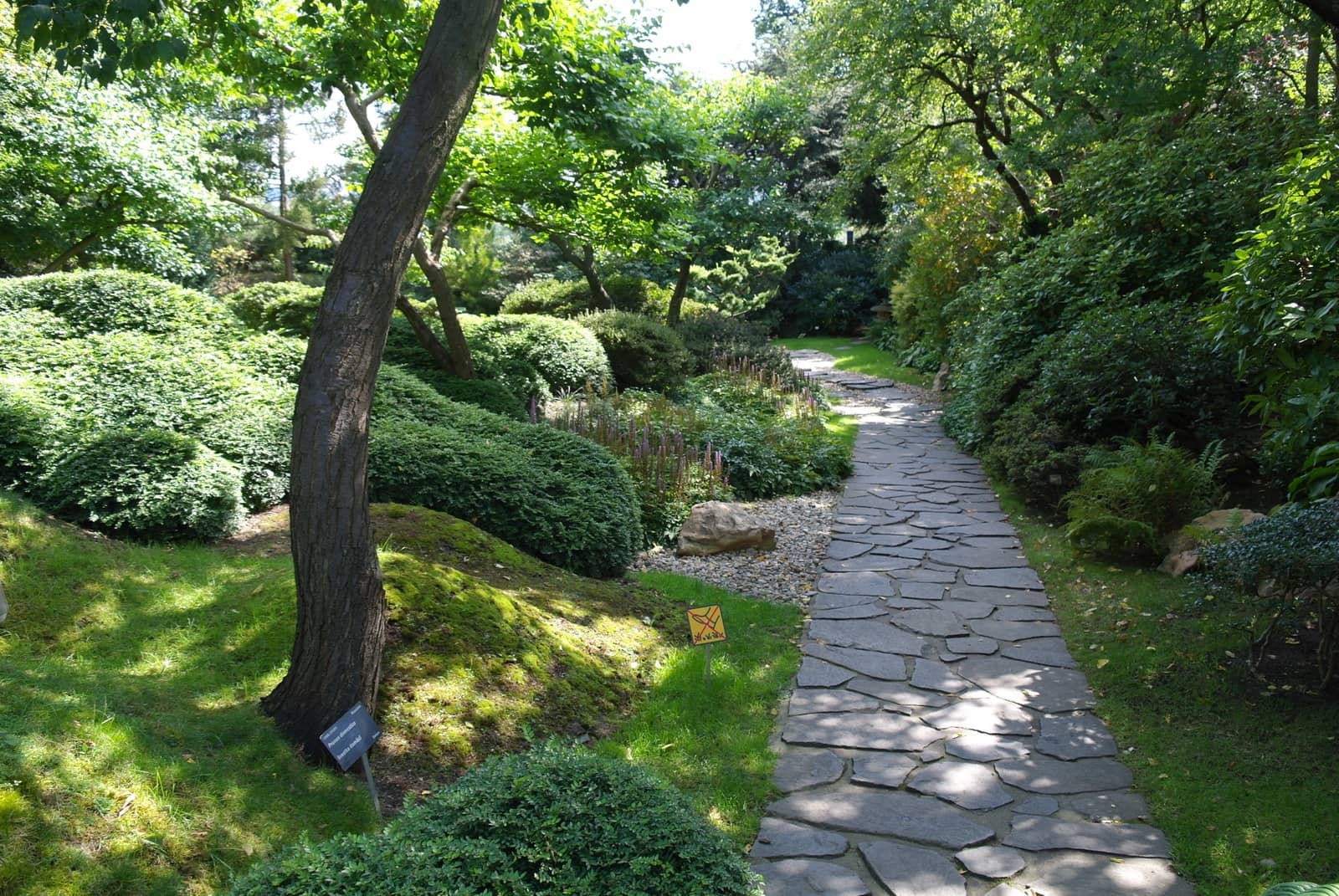 Japanese Garden