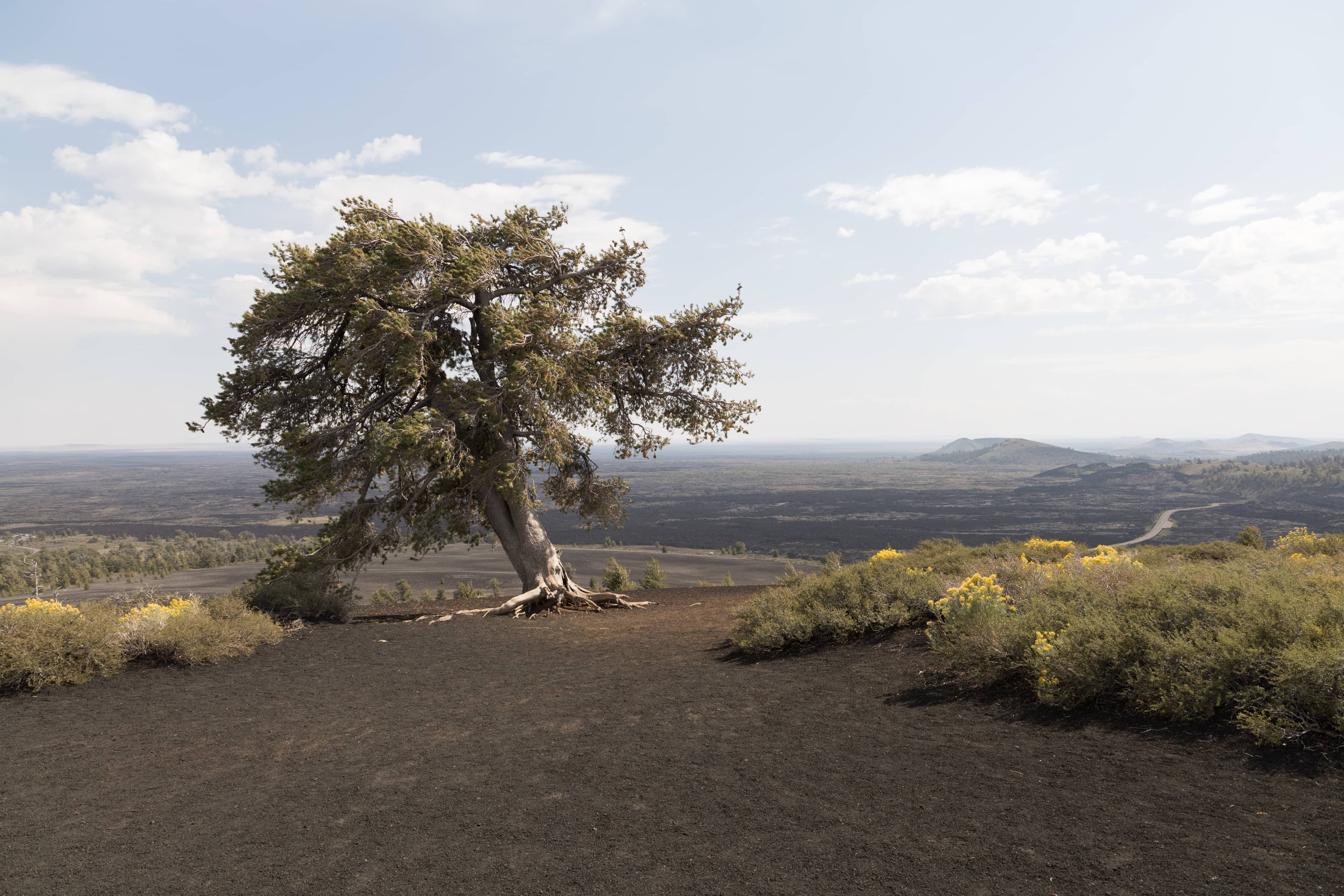 Scenic Driving Routes