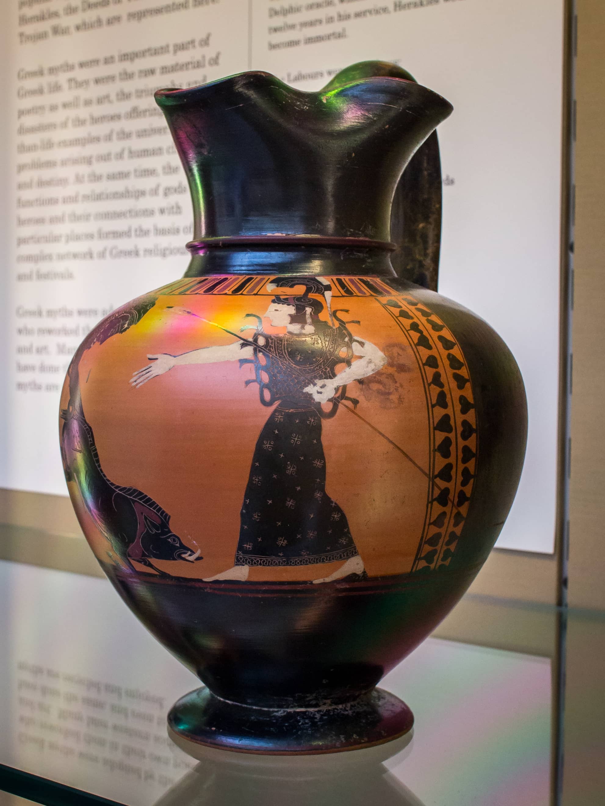 Educational Exhibits