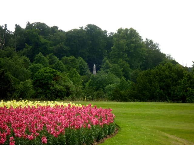 Woodland Walks & Play Trail