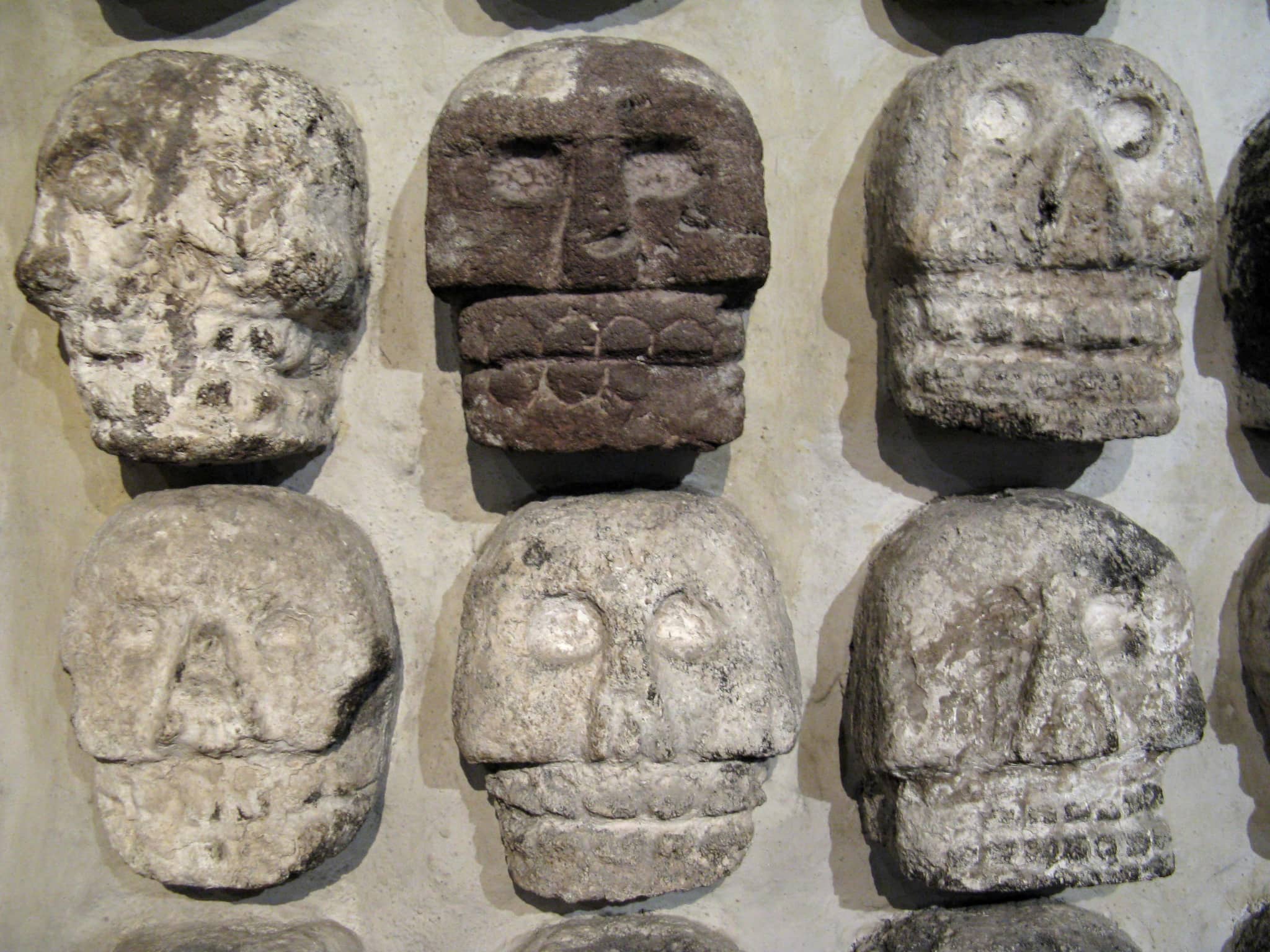 Magnificent Mayas Exhibit