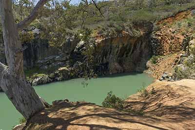 Dog-Friendly Adventures