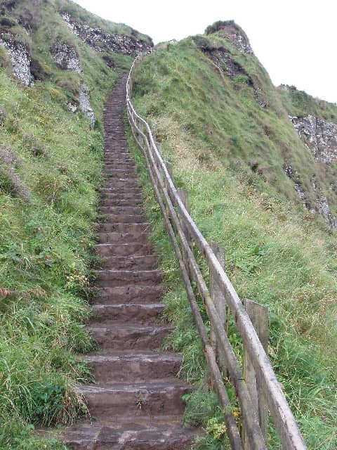 Shepherd's Steps