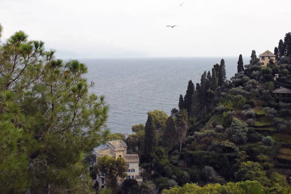 Immaculately Maintained Grounds