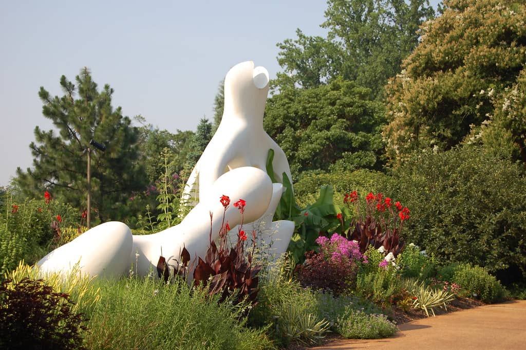 Herbarium & Botanical Museum