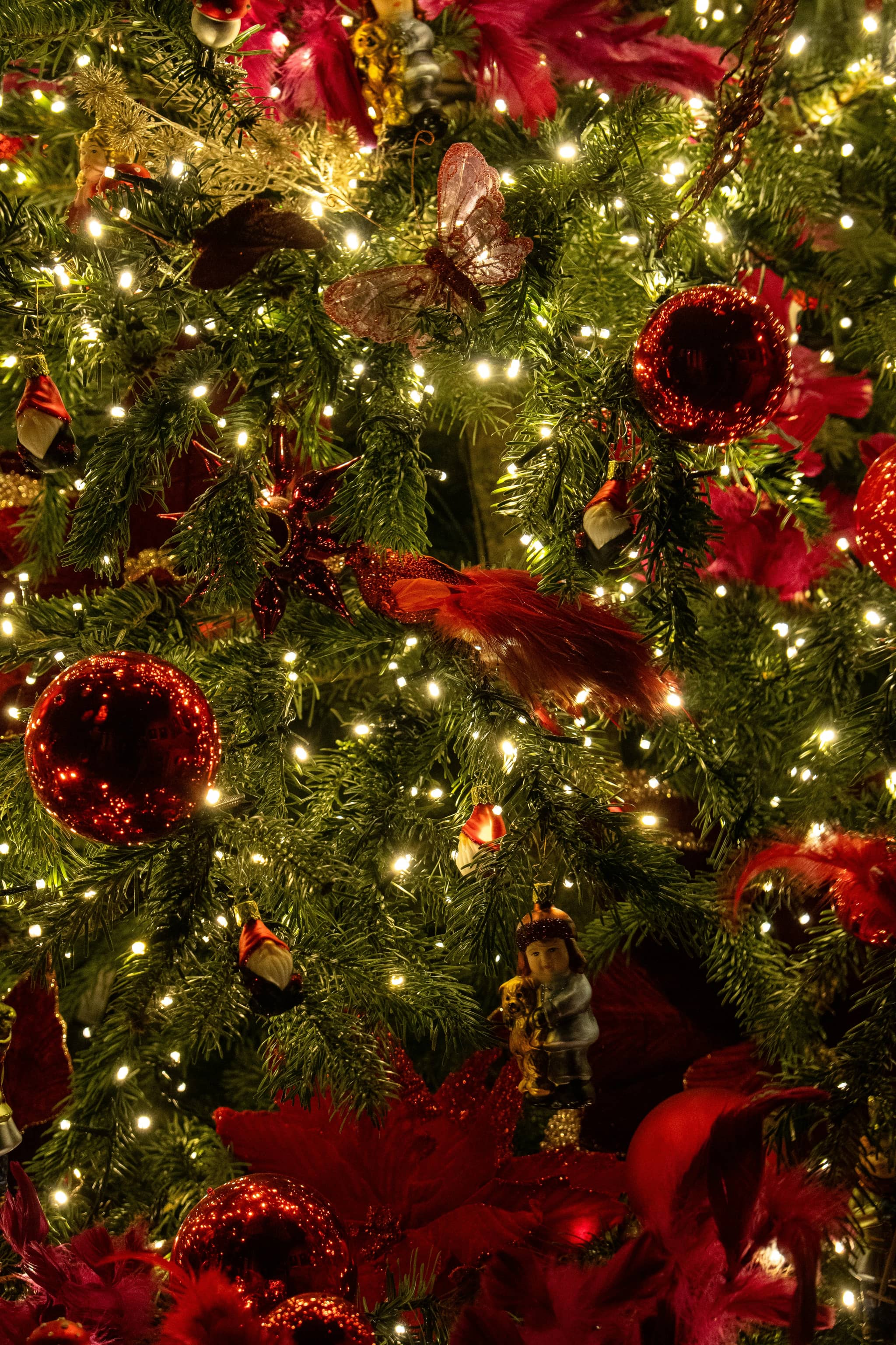 Holiday Tree Festival