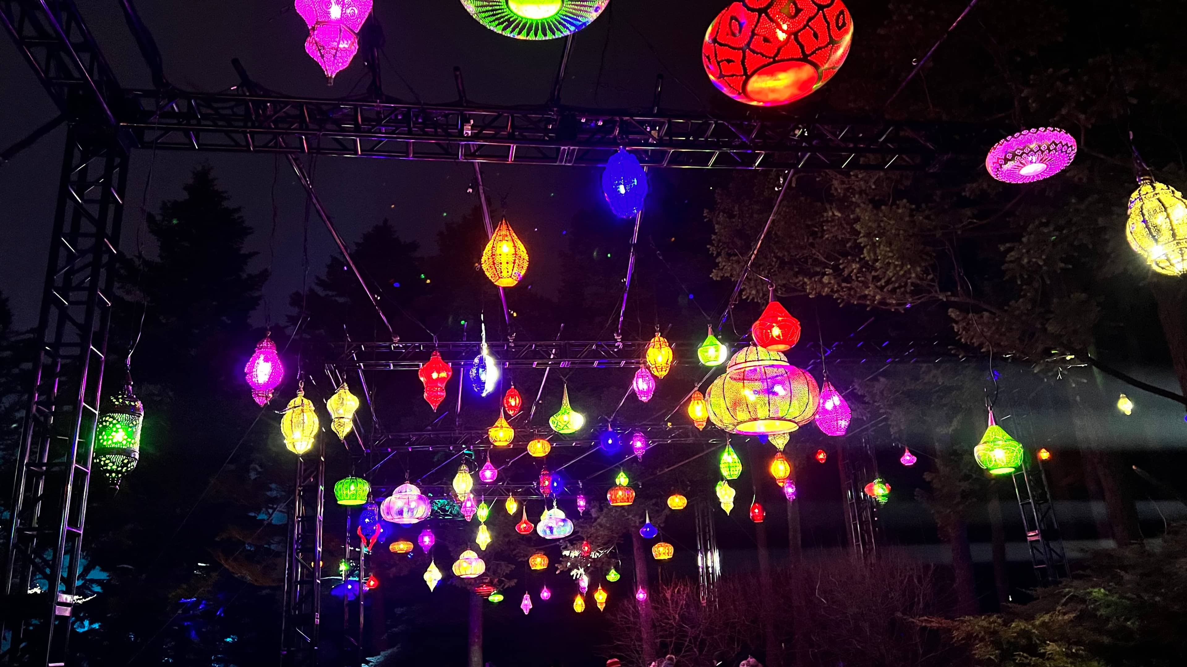 Illumination: Tree Lights