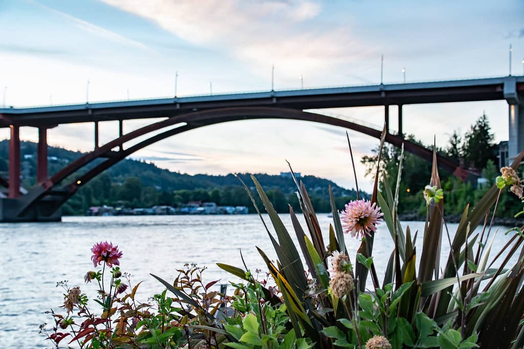 Willamette River Views