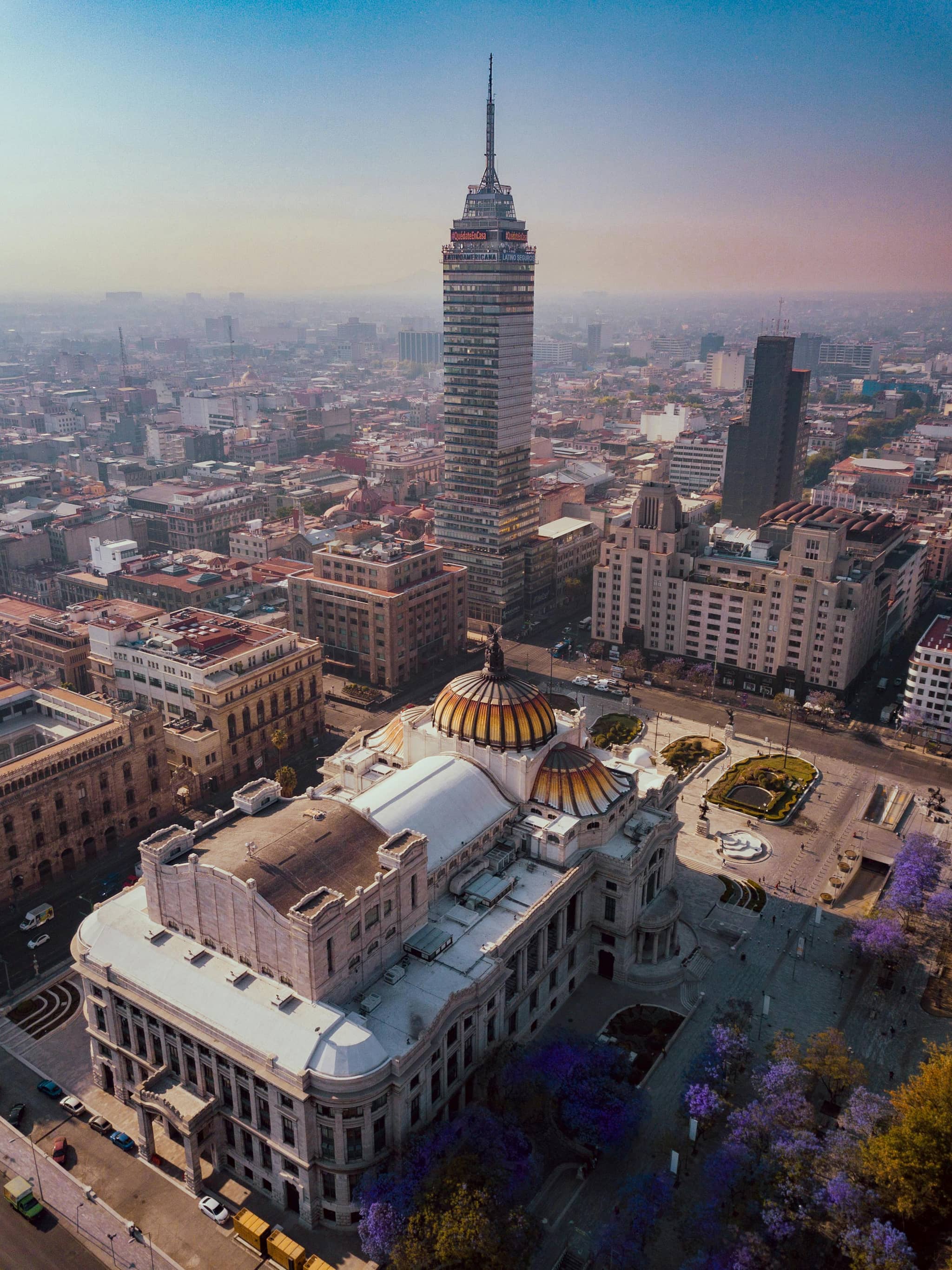 Bellas Artes Framing