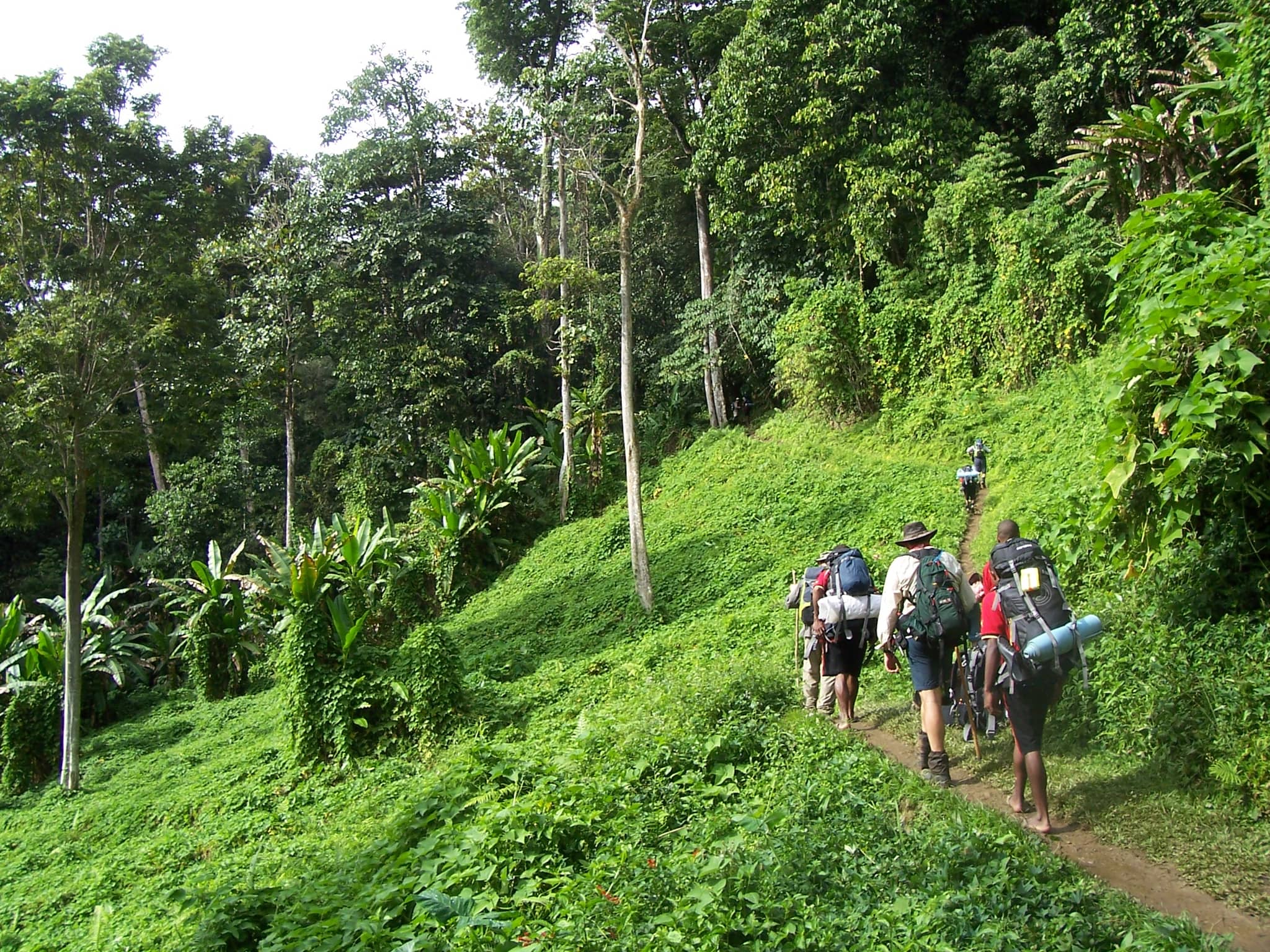 Scenic Walking Trails
