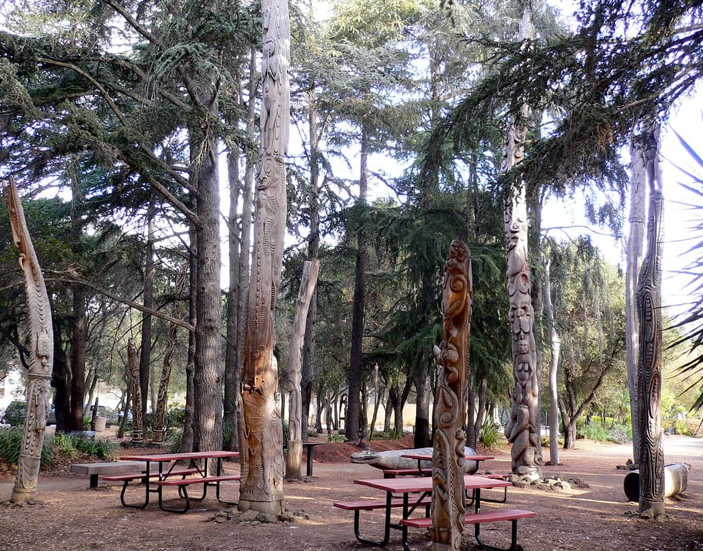Picnic Spots