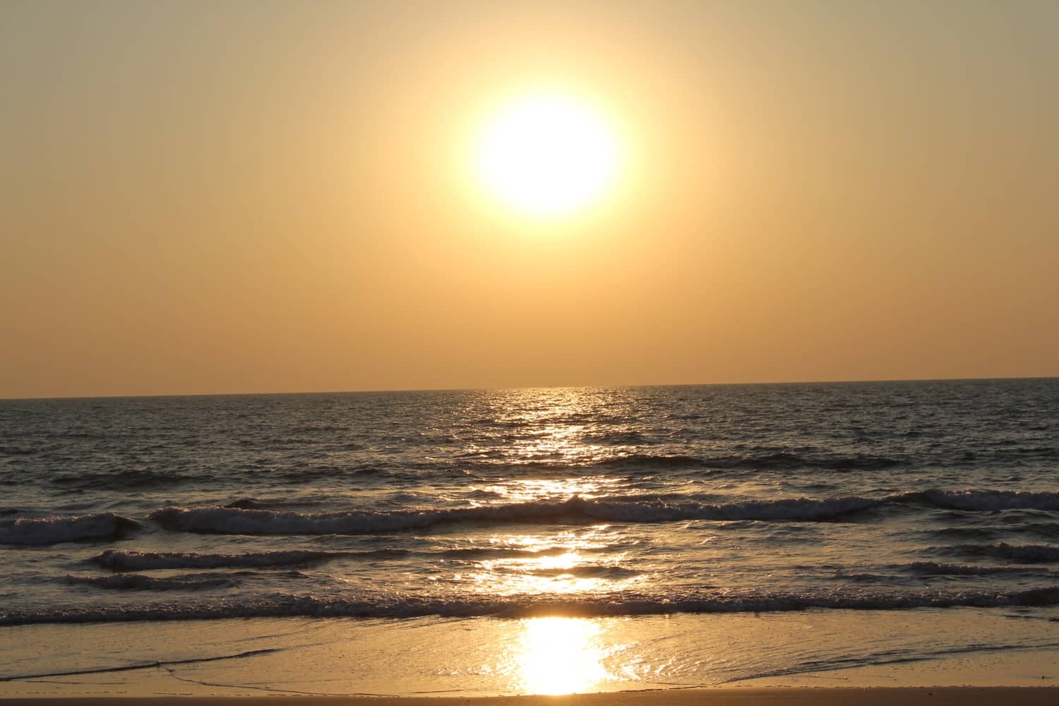 Sunset Spectacles