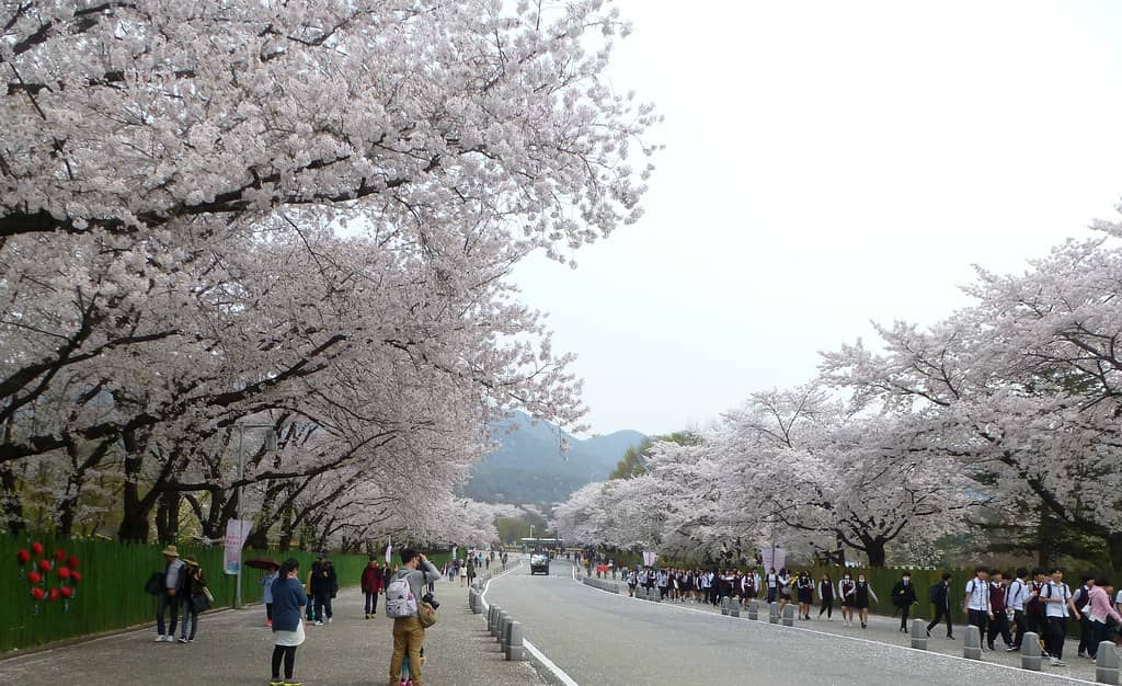 Shaded Walking & Cycling Paths