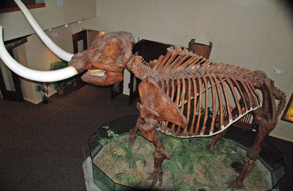 Local History Exhibits