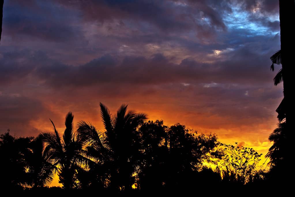 Vibrant Sunset Views