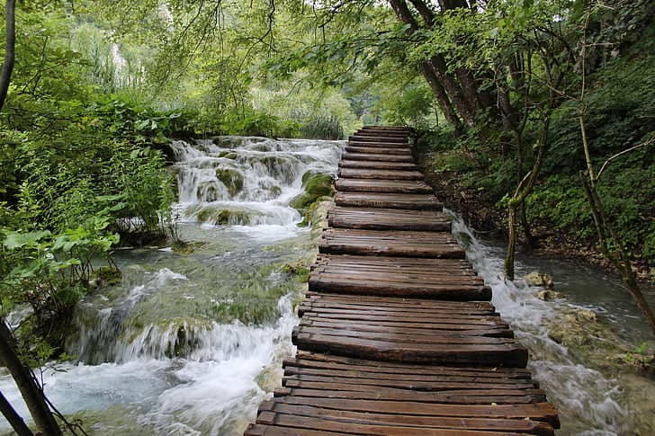 Wooden Bridge Viewpoint