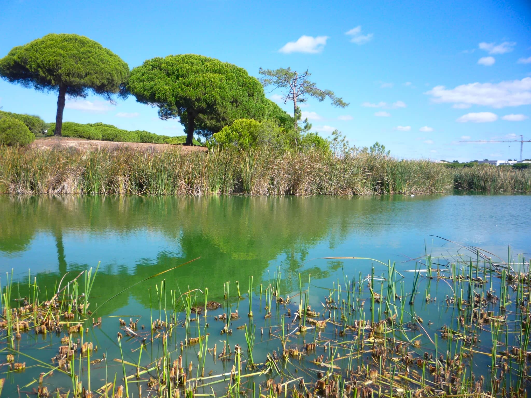 Ria Formosa Natural Park