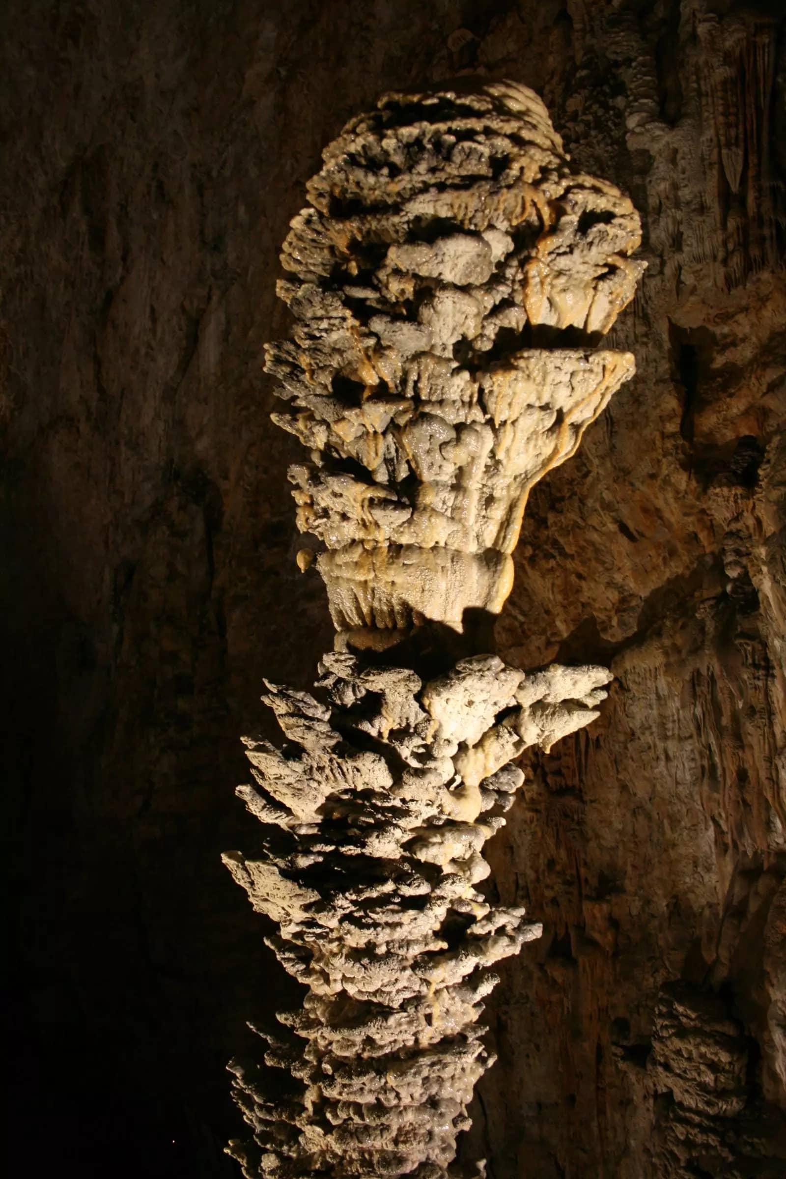 Guided Tour Experience