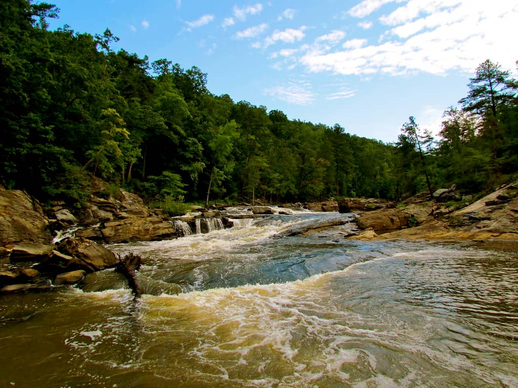 Rushing Rapids and Creek Views