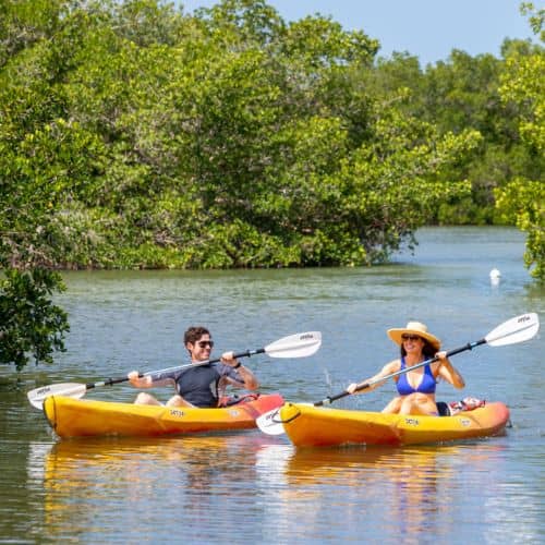 Paddling Serenity