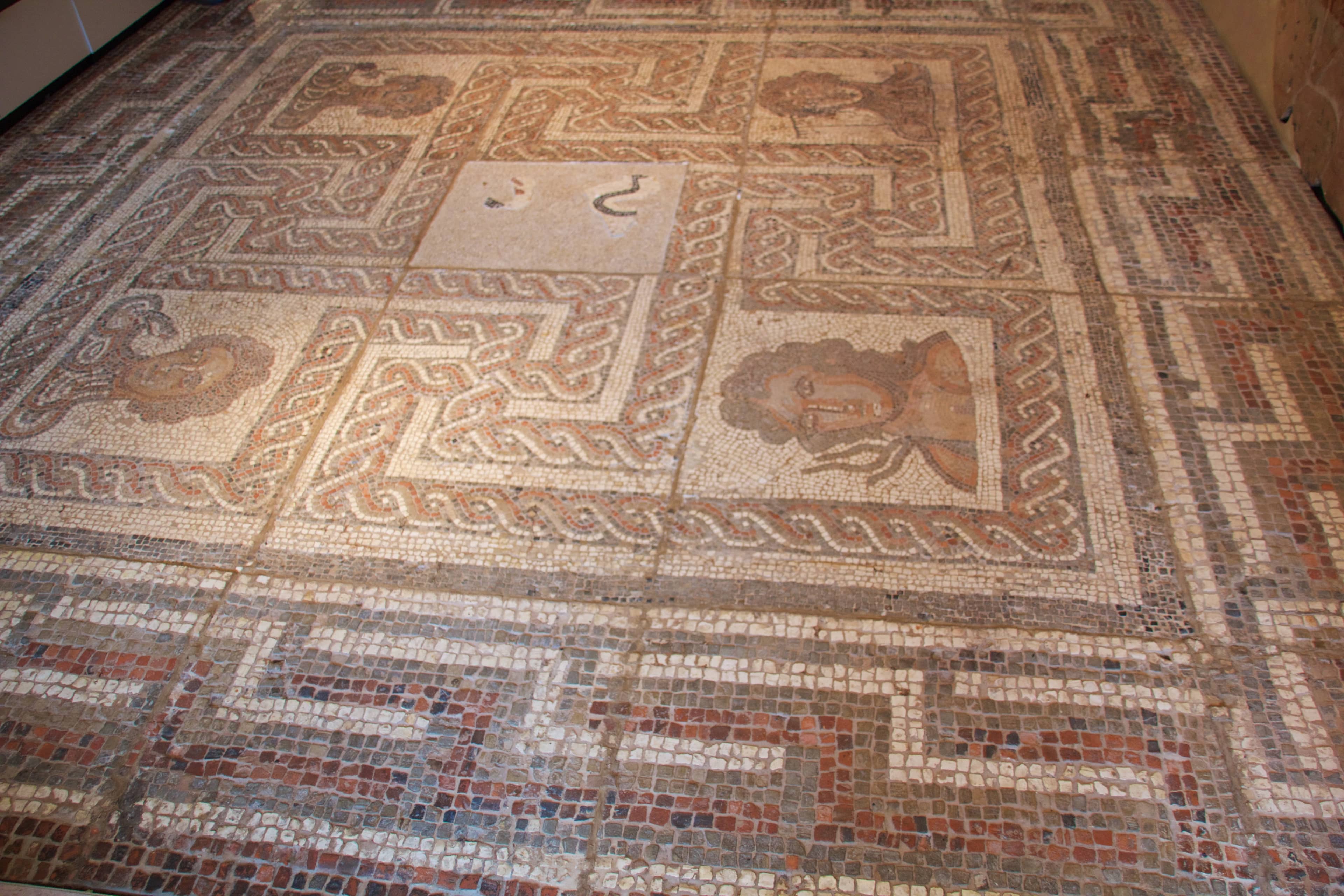 Roman Artifacts & Mosaics