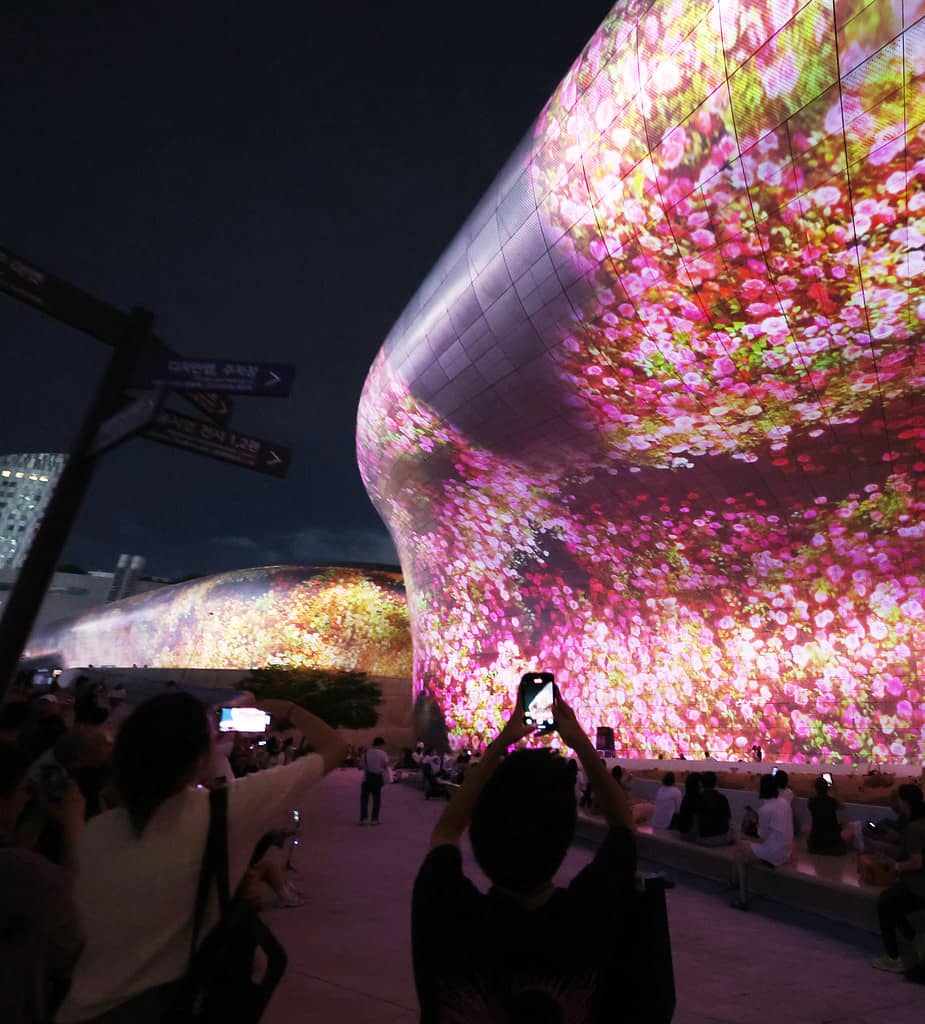 Seoul Light DDP