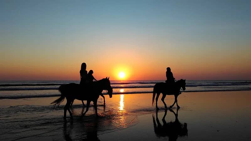 Sunset Spectacle