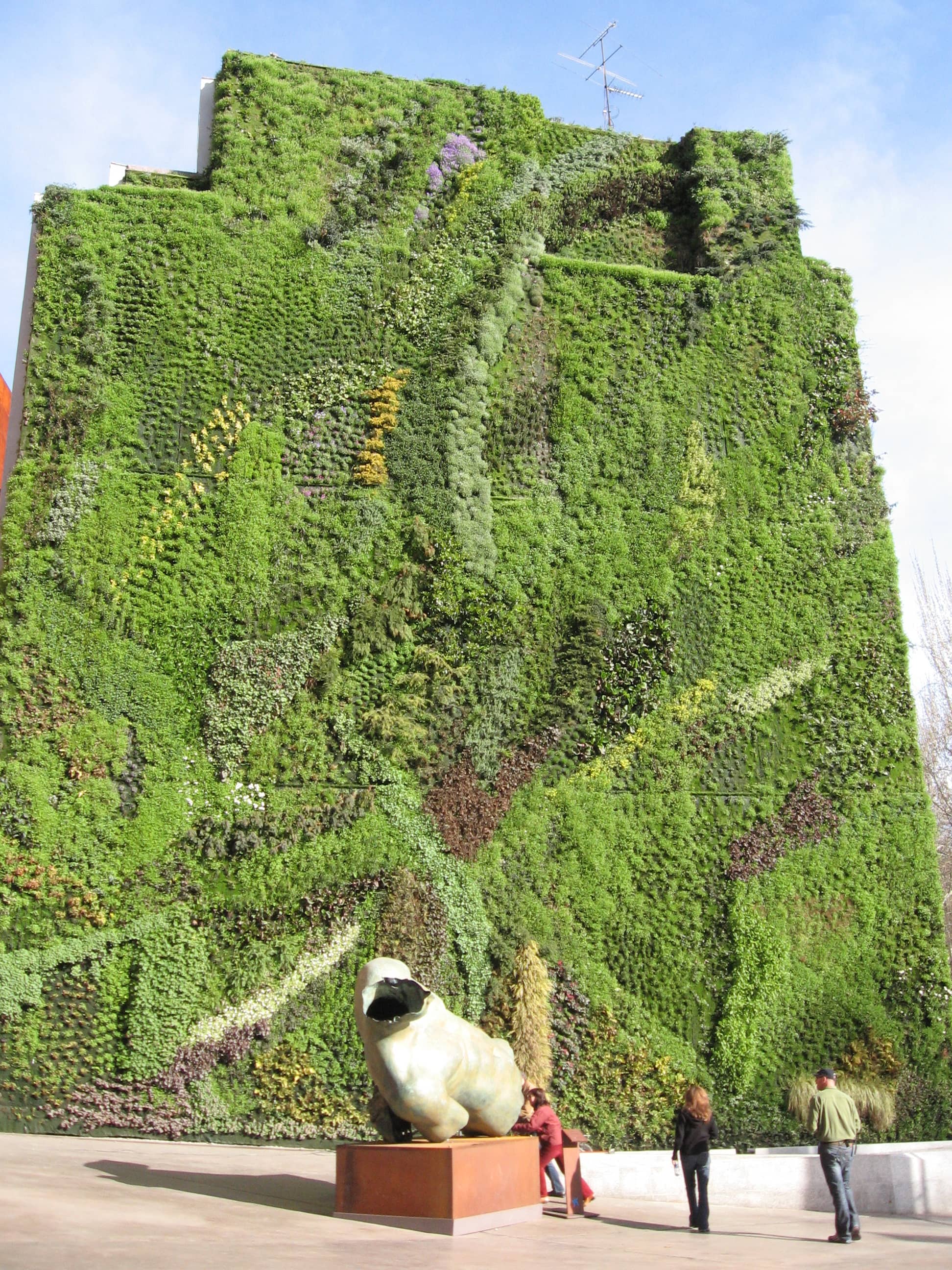 The Vertical Garden