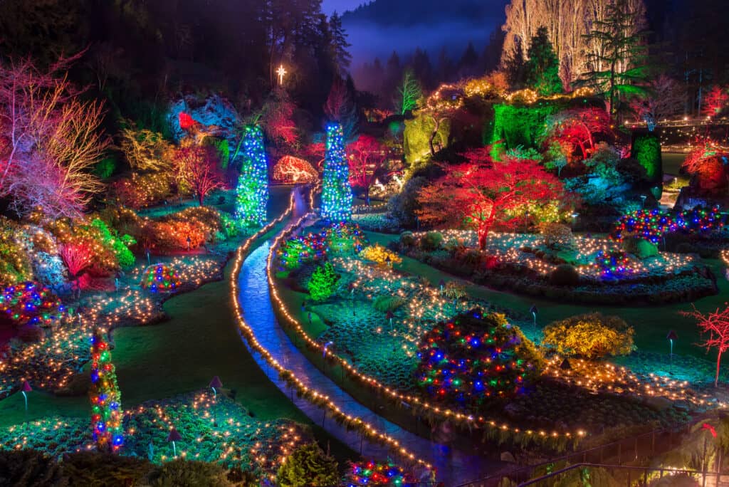 Holiday Light Displays