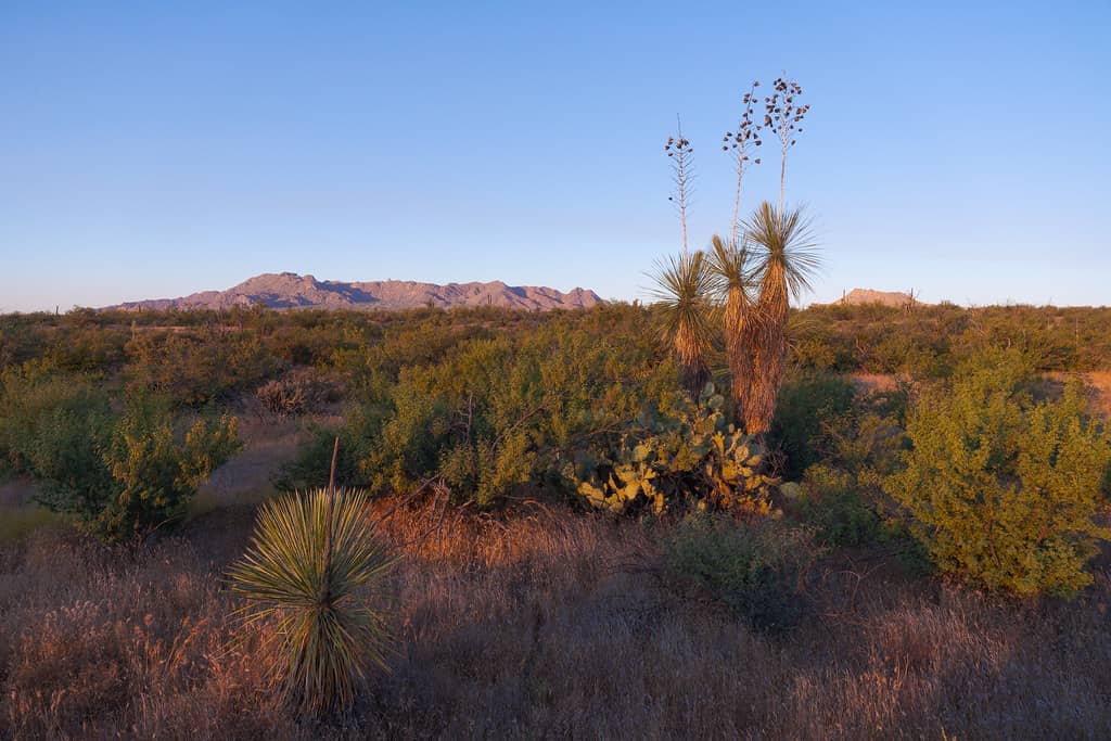 Panoramic Valley Views