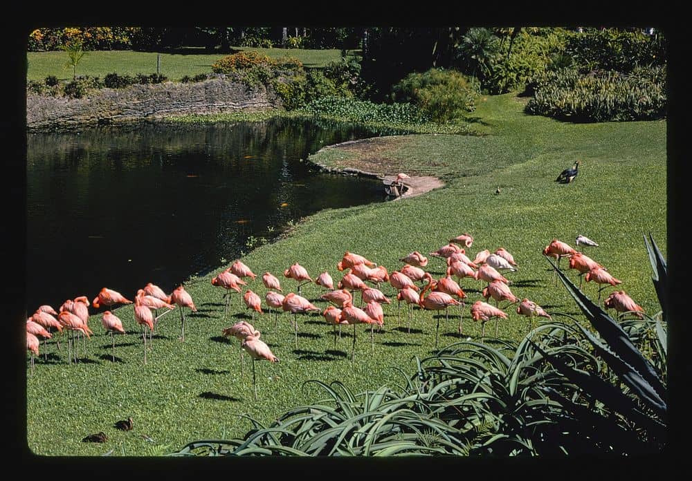 Christmas in the Park