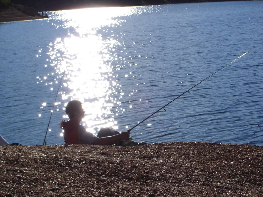 Fishing Opportunities