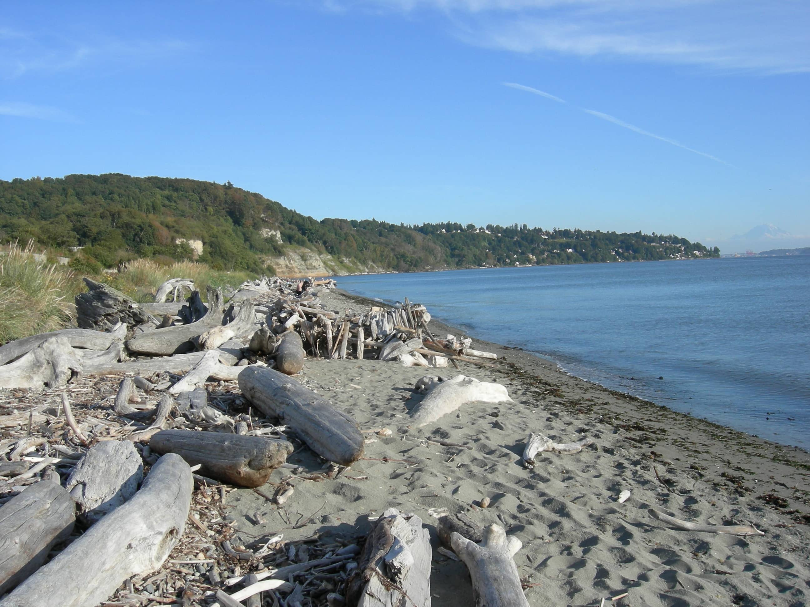 Discovery Park Beach