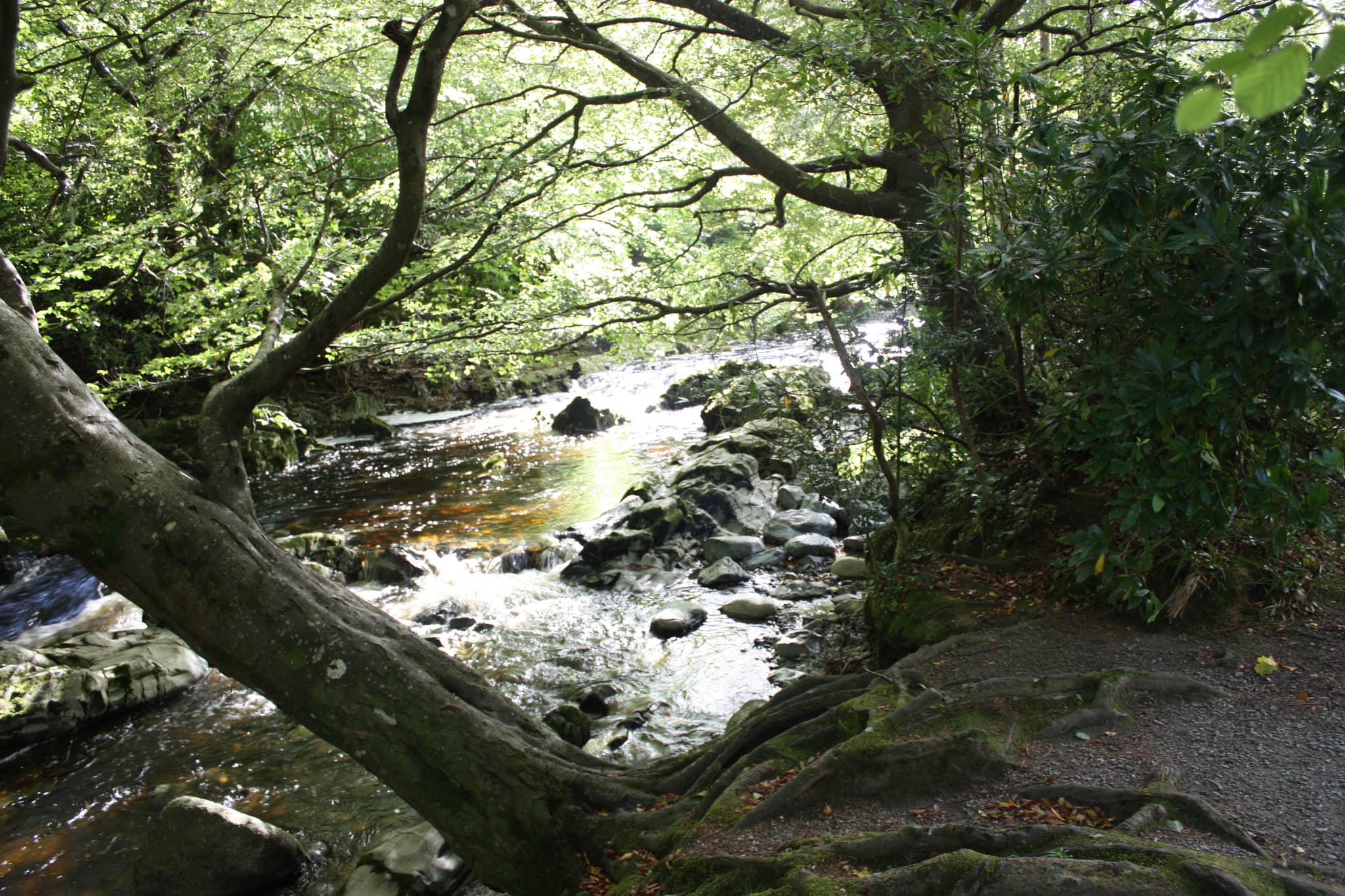 River Trails