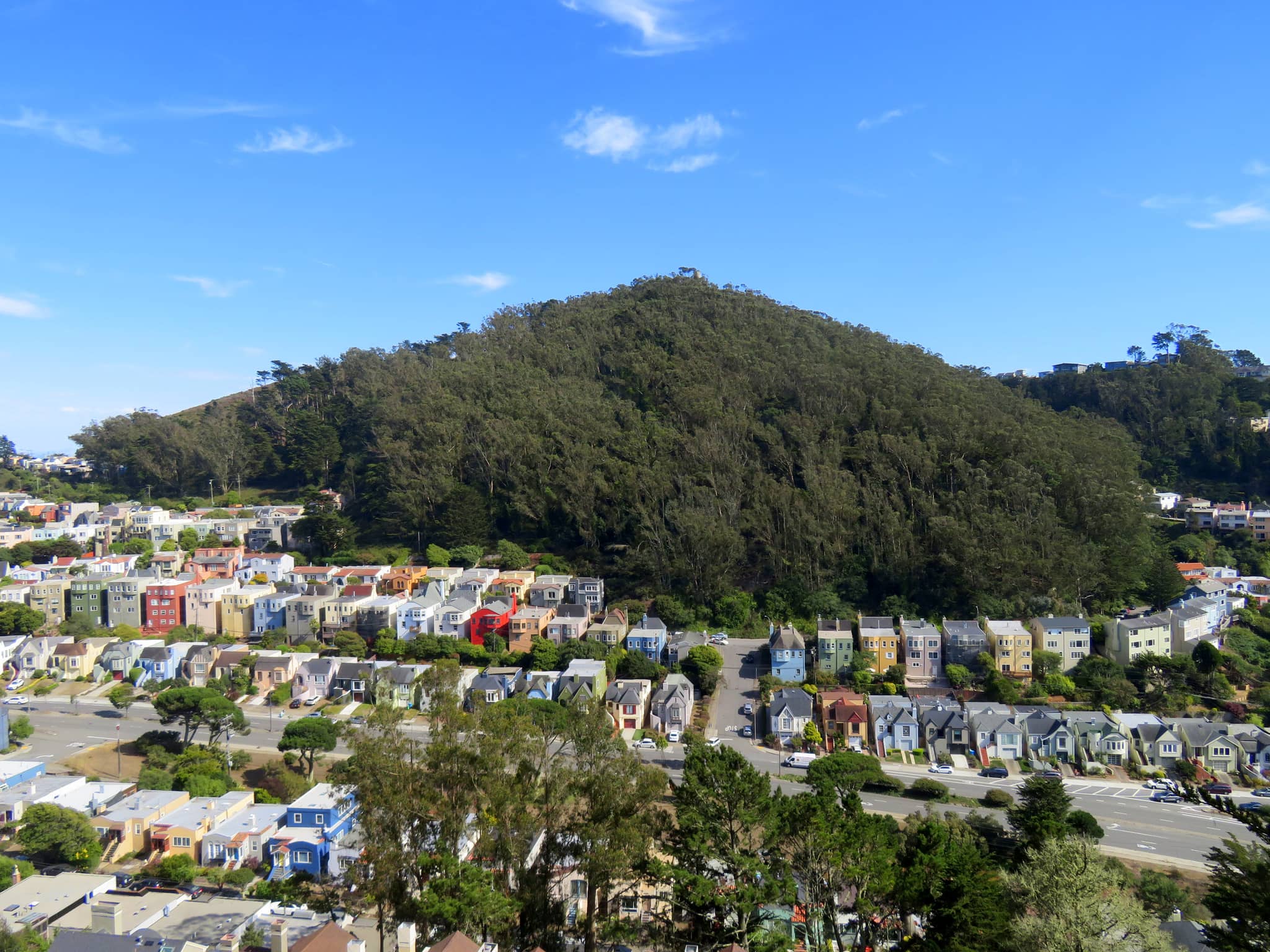 Eucalyptus Forest Trails