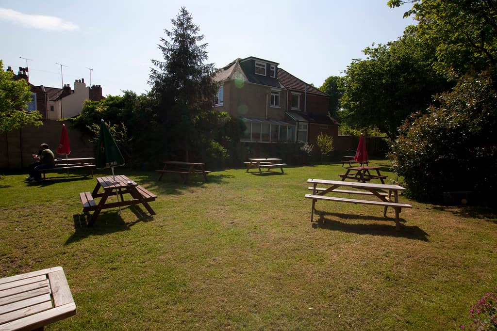 Wakeboarding Park Views